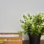 Apartment Bliss - Komfortowy Blisko Centrum I Gor By Reapartments Bielsko-Biala