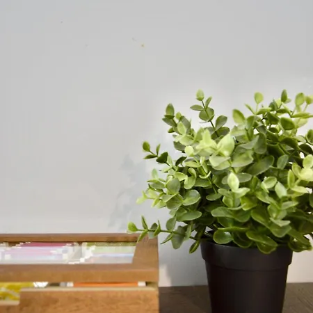 Lägenhet Bliss - Komfortowy Blisko Centrum I Gor By Reapartments Bielsko-Biała