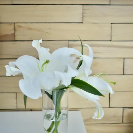 Apartmán Bliss - Komfortowy Blisko Centrum I Gor By Reapartments *