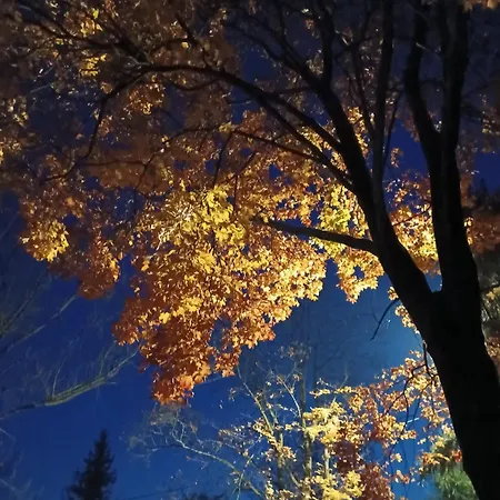 Apartment Bliss Komfortowe Blisko Centrum I Beskidow *