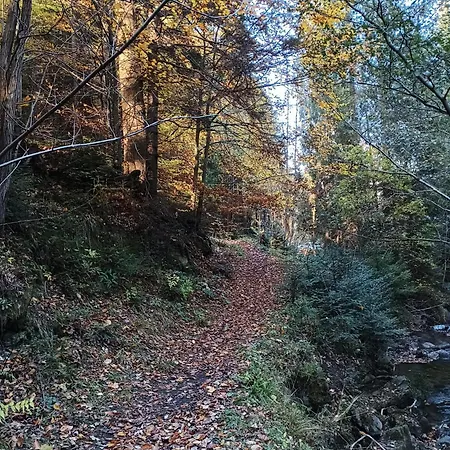 Bliss - Komfortowy Blisko Centrum I Gor By Reapartments *