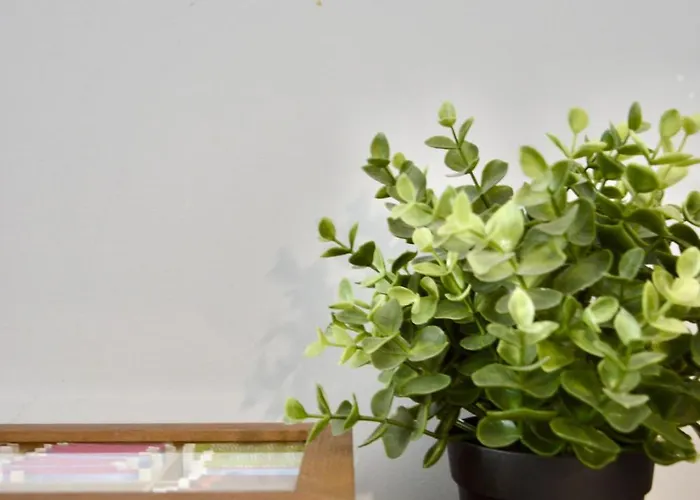 Appartement Bliss - Komfortowy Blisko Centrum I Gor By Reapartments Bielsko-Biała