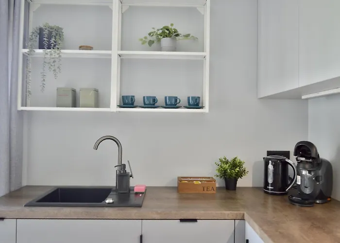 Bliss - Komfortowy Blisko Centrum I Gor By Reapartments Bielsko-Biała