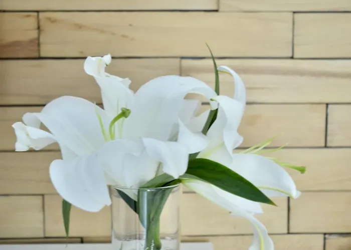 Appartamento Bliss - Komfortowy Blisko Centrum I Gor By Reapartments *